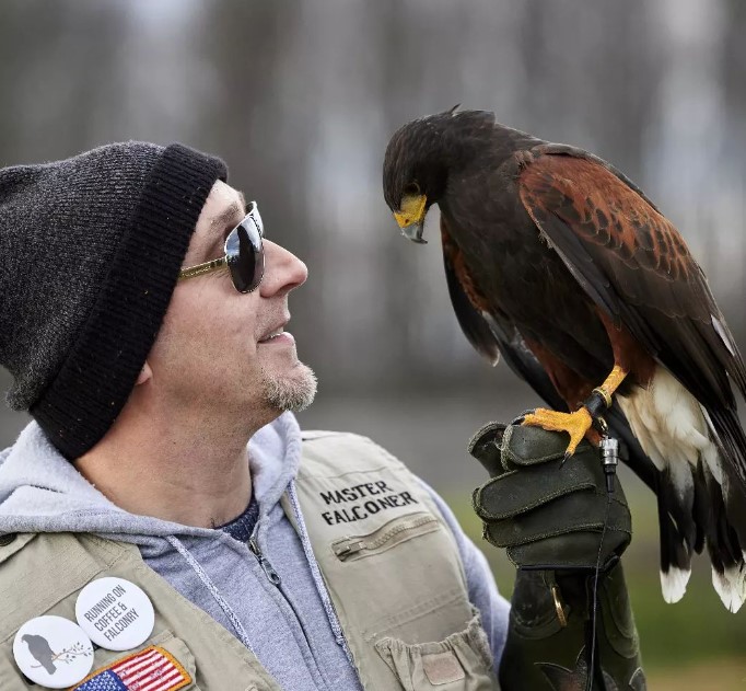Falconry