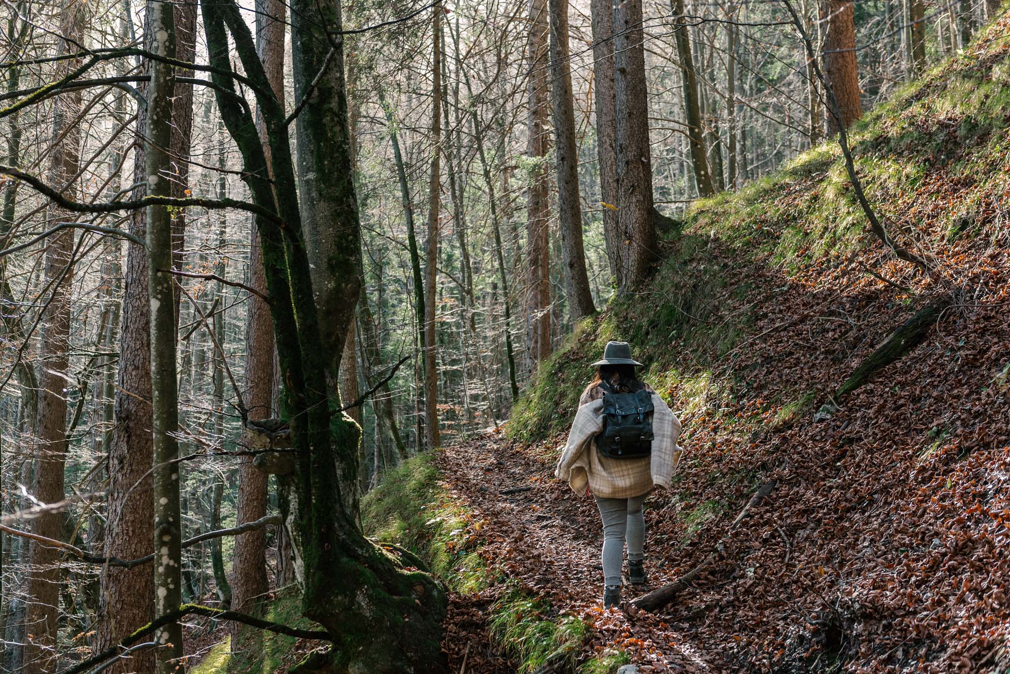 Rear view of girl wearing backpack, hiking in forest in autumn