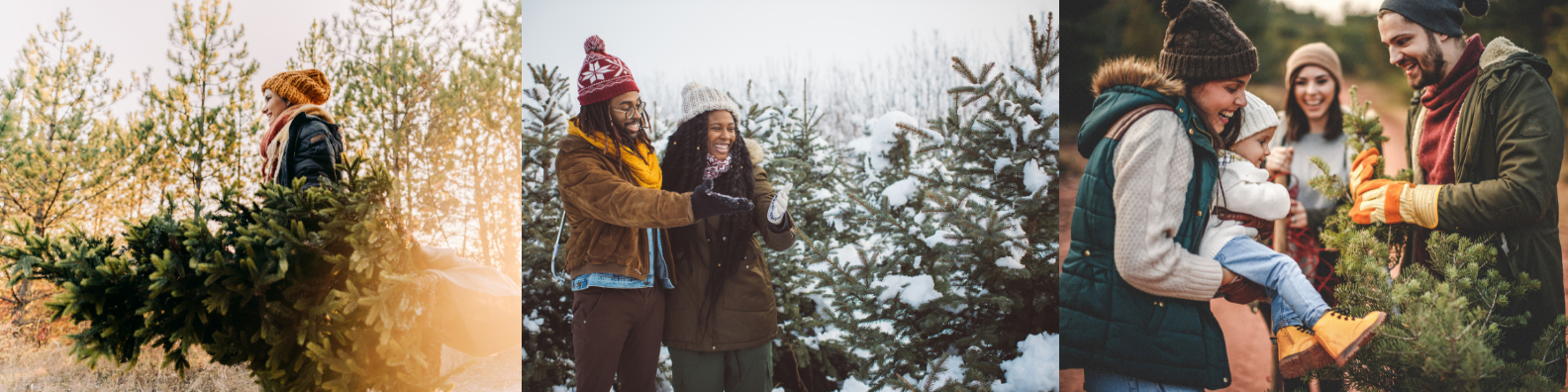 Holiday Header (4)