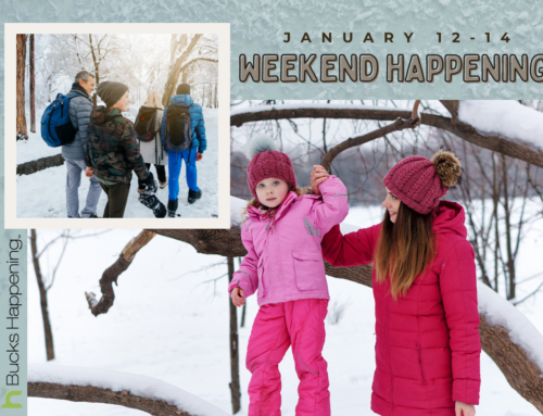 Weekend Happenings | January 12-14