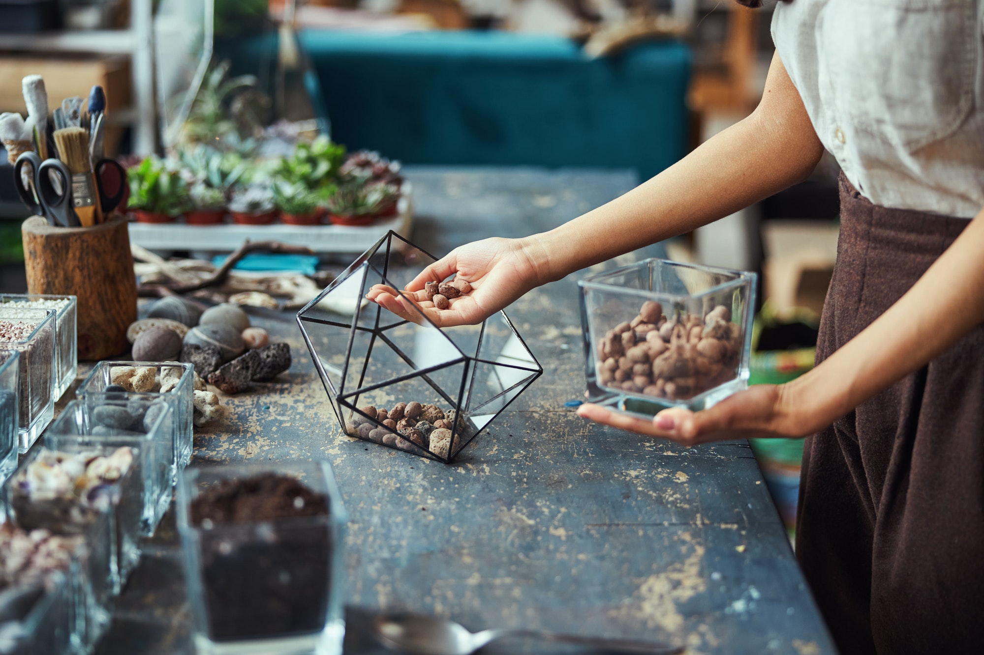 Professional florist filling a glass geometric terrarium container Professional florist filling a glass geometric terrarium container