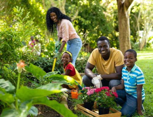 Get Out Your Green Thumb: Tips for Stunning Landscapes and Bountiful Gardens