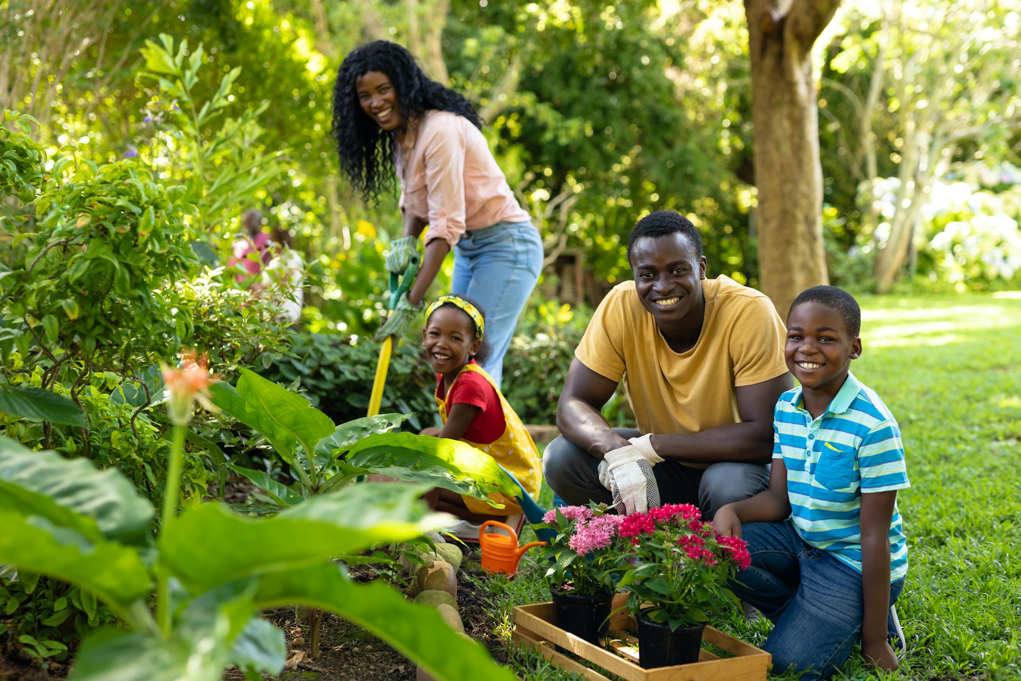 Portrait of happy african american siblings gardening with parents in backyard on weekend