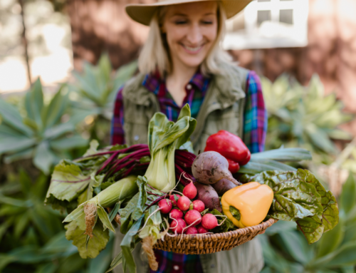 Farmers Markets and CSA Programs in Our Local Community