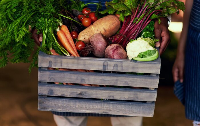 Cropped shot of an unrecognizable farmer holding a crate full of fresh produce at his farm