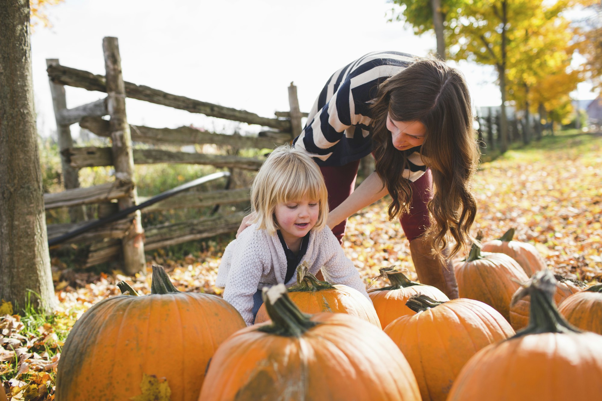 Family autumn fun with pumpkins