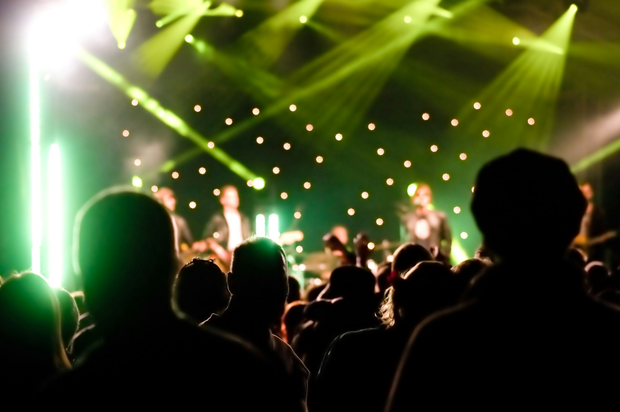 concert audience