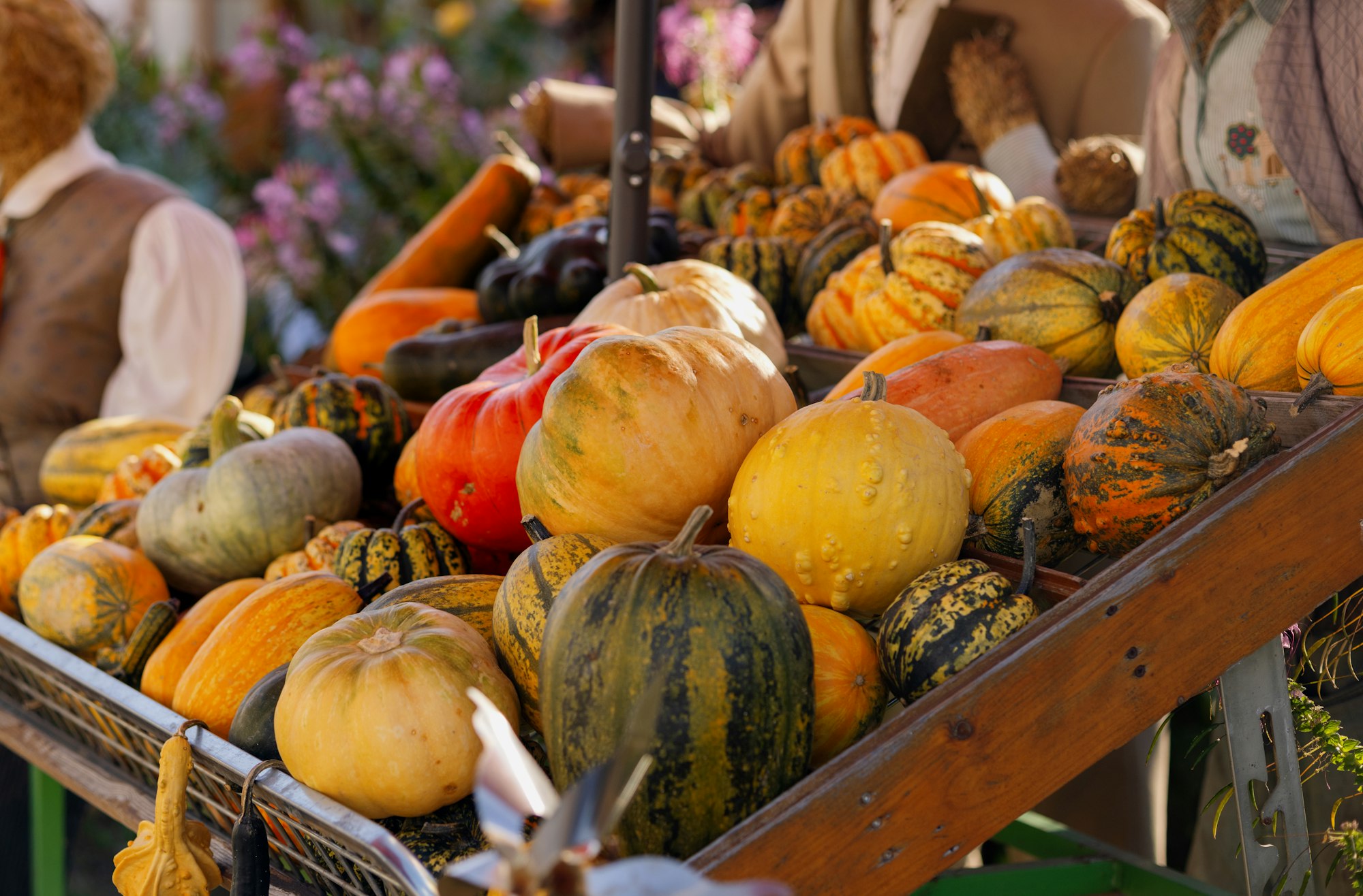 Different pumpkins on the counter at the harvest festival in the fall