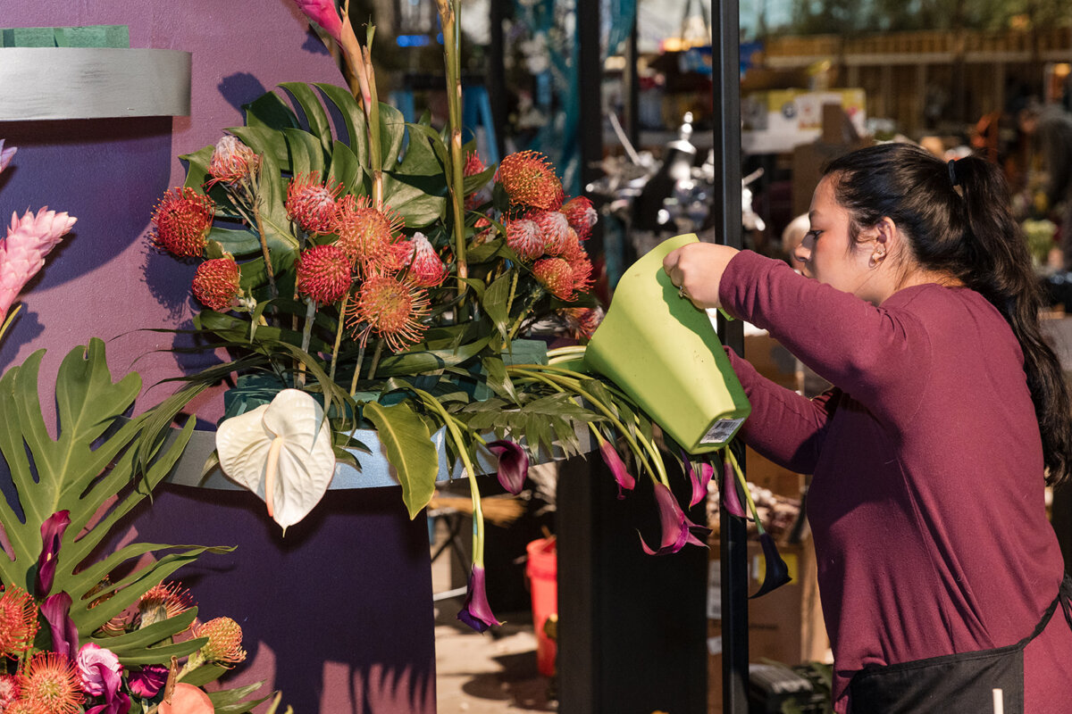 BCCC Floral Design Program to Make History at Philadelphia Flower Show ...
