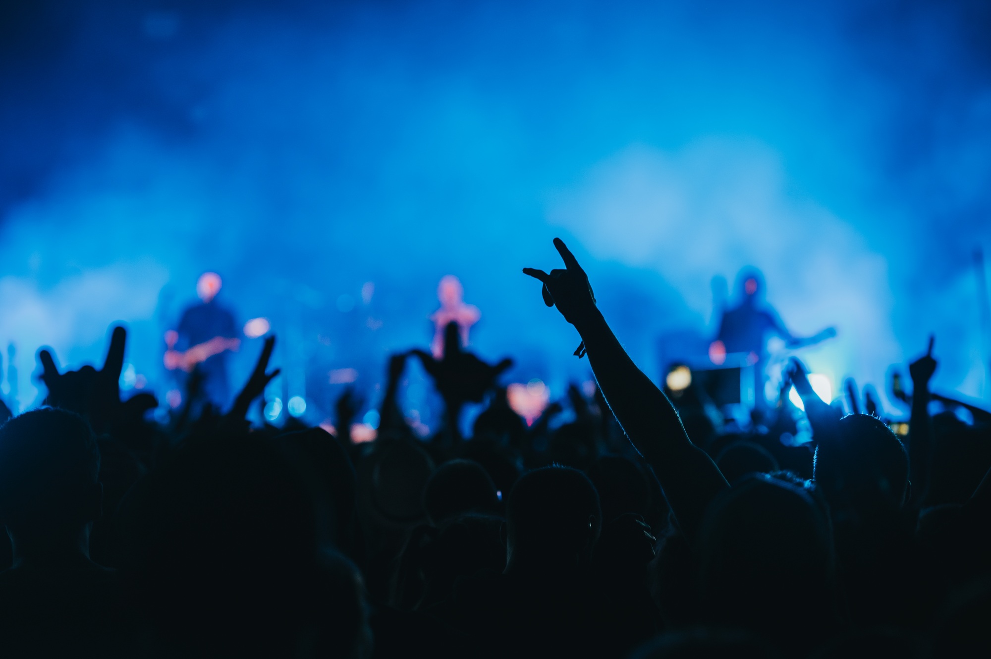 Concert crowd on a music concert Concert crowd on a music concert