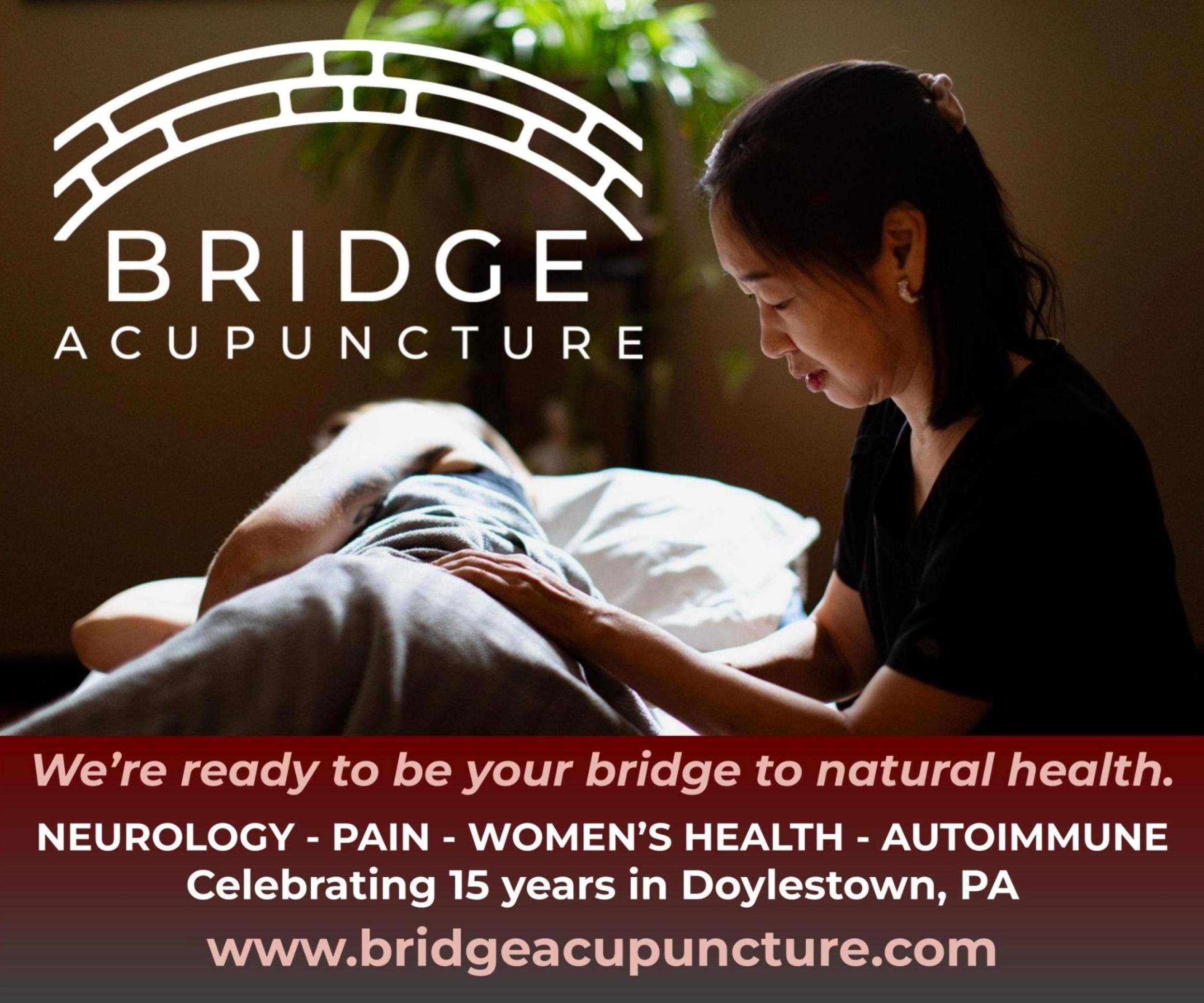 BridgeAcupunctureAP25