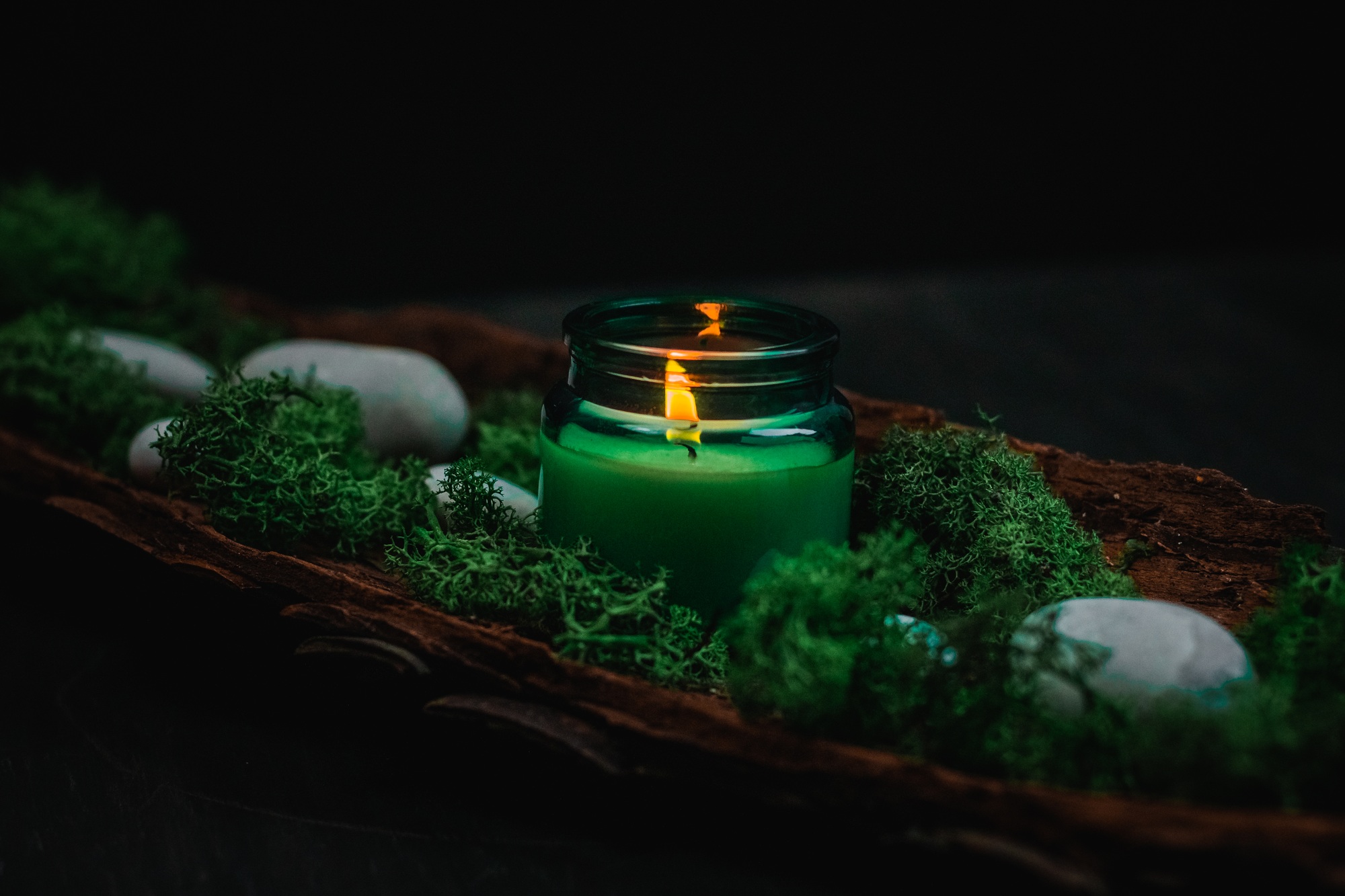 Green candle, moss and stones in the bark of a tree on a black background.