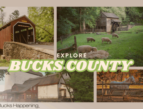 Rediscover Your Hometown | How to Be a Tourist in Bucks County