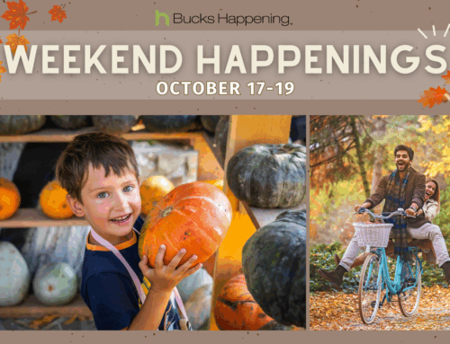 Weekend Happenings | October 17-19