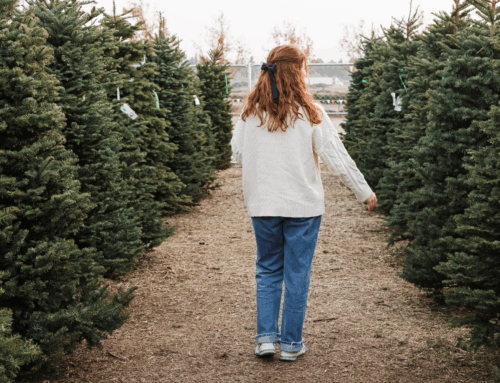 2025 Christmas Tree Farms