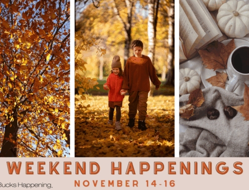 Weekend Happenings | November 14-16
