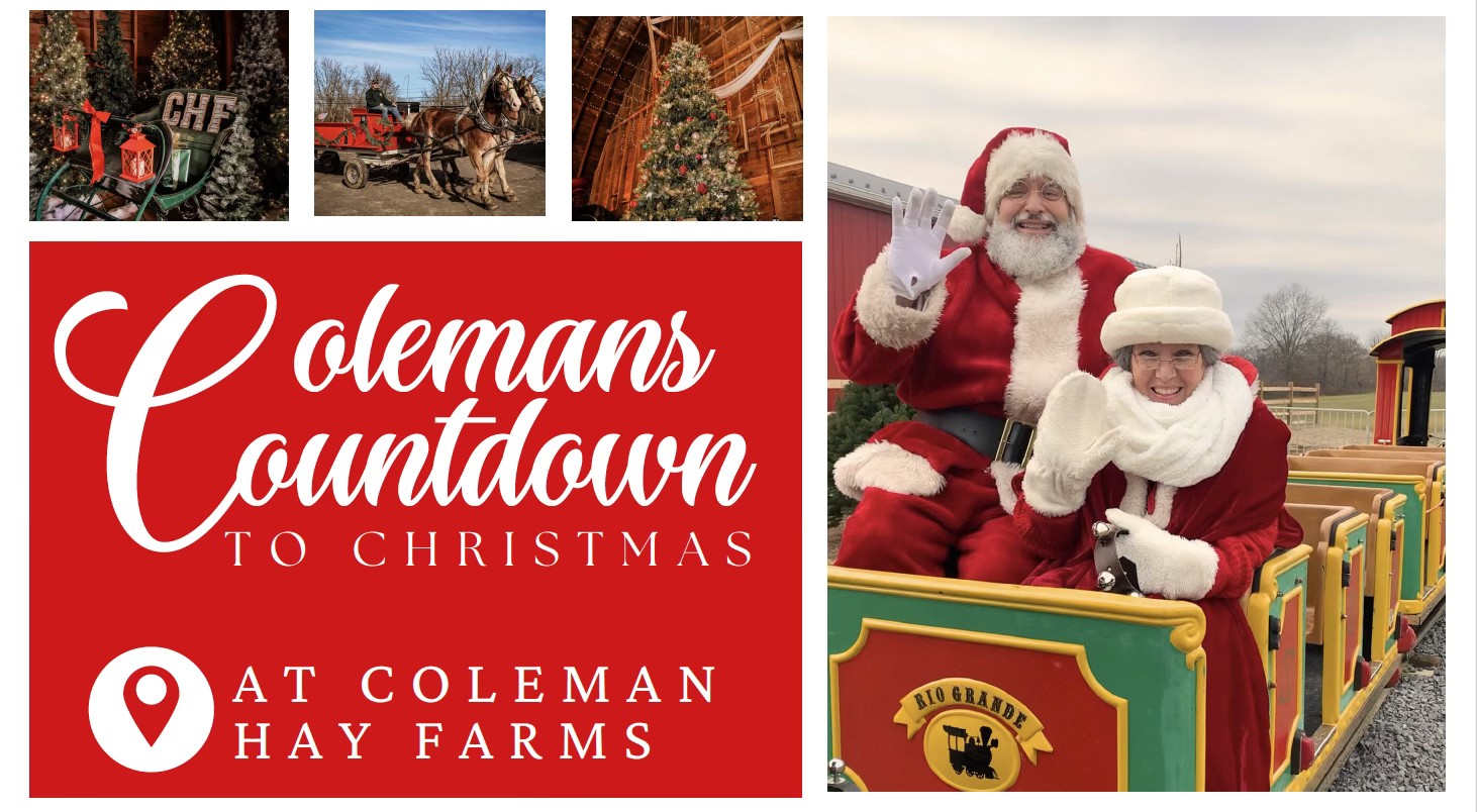 563444386_1129655902609549_7743896054926923409_n