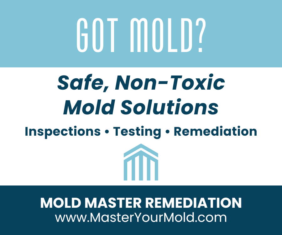 MasterYourMoldAPVIPApril26