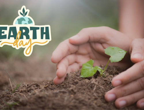Celebrate Earth Day | Simple Ways to Get Involved in Bucks