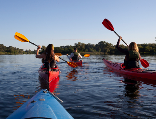 Get Out on the Water: Where to Paddleboard, Kayak, and Tube in Bucks