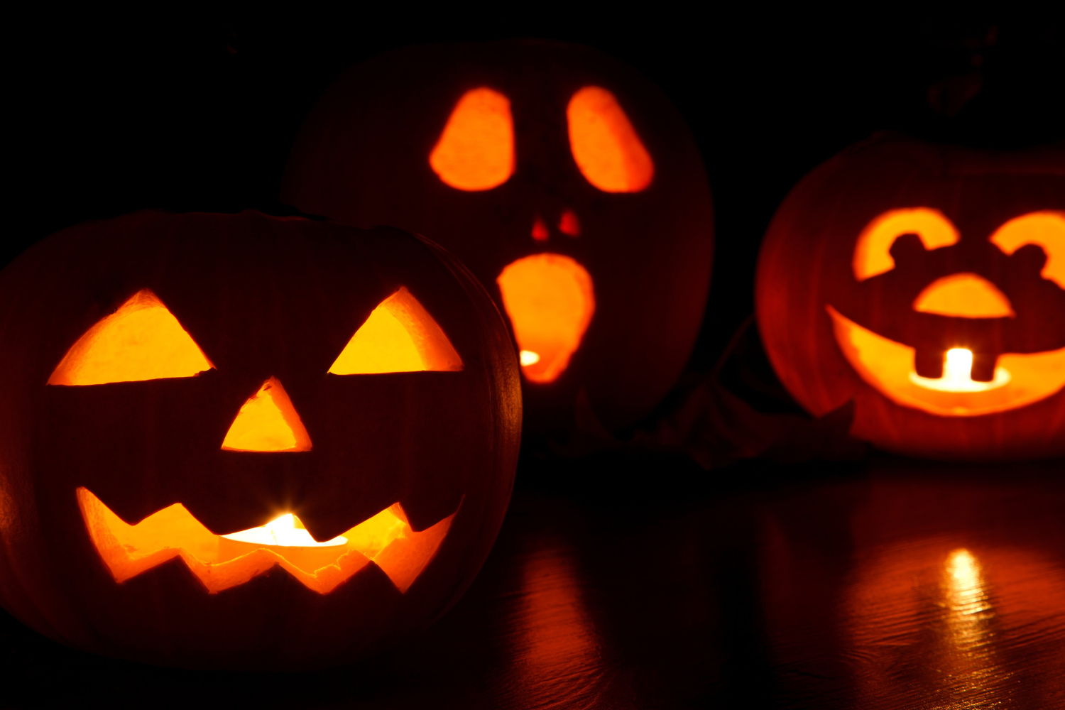 Header-Image-2026-10-27T131943.239